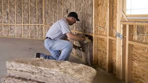 Best Basement Insulation  in Warren, MN